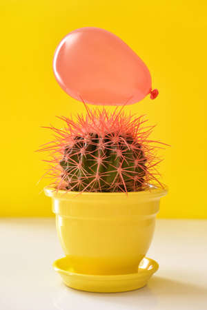 Air balloon with cactus on table. Concept of stressの写真素材