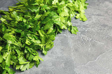 Fresh parsley on gray backgroundの写真素材