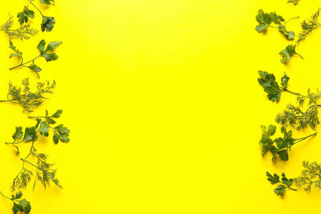 Fresh parsley and dill on color background