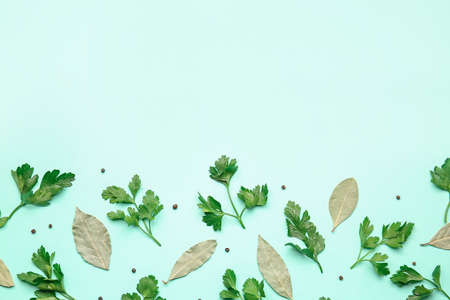 Fresh parsley and spices on color backgroundの写真素材