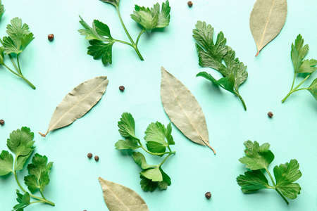 Fresh parsley and spices on color background