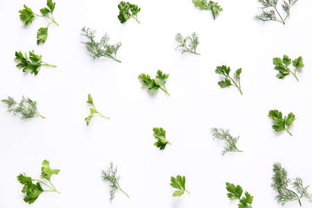 Fresh parsley and dill on white backgroundの写真素材