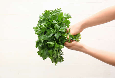 Hands with fresh parsley on white backgroundの写真素材