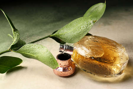 Bottle of perfume on light table