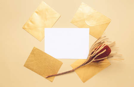 Composition with blank paper sheet and envelopes on color backgroundの写真素材