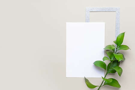 Blank paper sheet and green leaves on color backgroundの写真素材