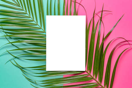 Blank paper sheet and green leaf on color backgroundの写真素材