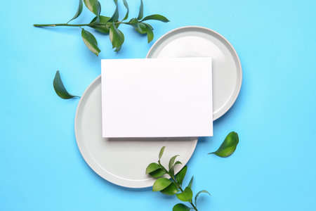 Blank paper sheet, plates and green leaves on color backgroundの写真素材
