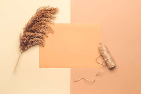 Composition with blank paper sheet on color backgroundの写真素材