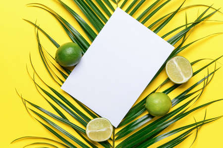 Composition with blank paper sheet and citruses on color background