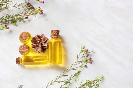 Composition with bottles of essential oil on light backgroundの写真素材