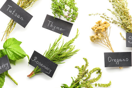 Composition with different herbs on white background, closeupの写真素材