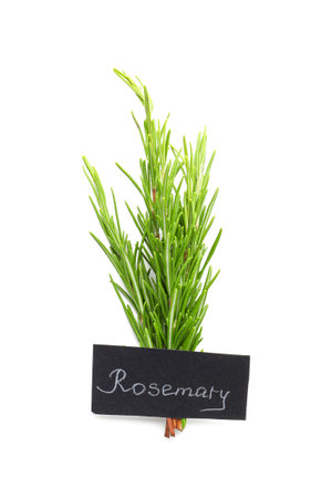 Fresh aromatic rosemary on white backgroundの写真素材