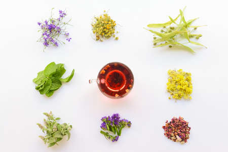 Dry flowers, herbs and cup of floral tea on white backgroundの写真素材