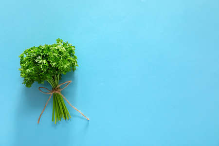 Fresh parsley on color background