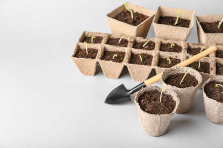 Peat pots with soil and green seedling on light background