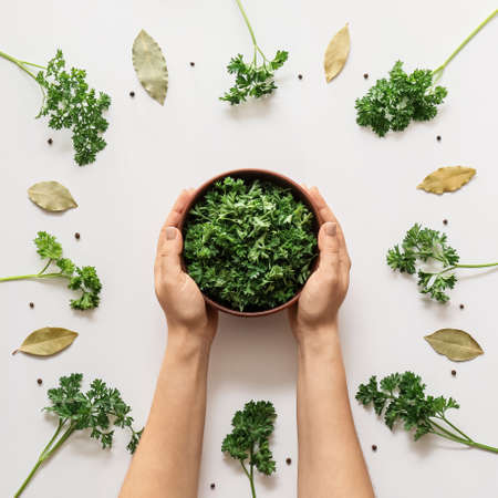 Hands with bowl of fresh parsley and spices on white background