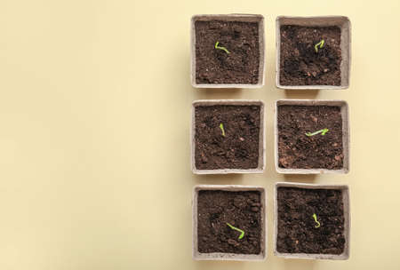 Peat pots with soil and green seedling on color background