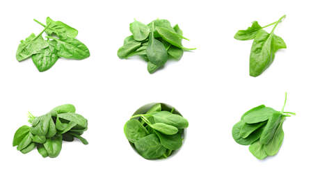 Fresh healthy spinach on white backgroundの写真素材