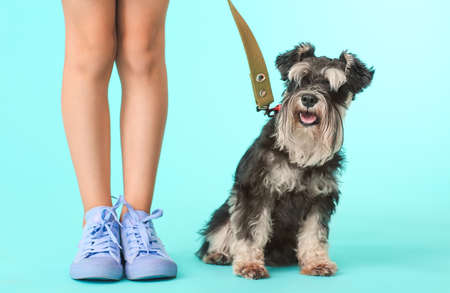 Little girl with cute dog on color backgroundの写真素材