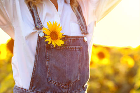 Beautiful young woman in sunflower field, closeupの写真素材