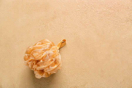 Bath sponge on color background