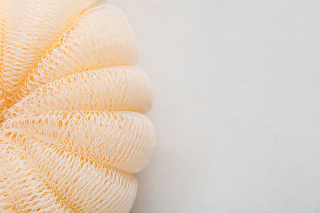 Loofah on light background, top viewの写真素材