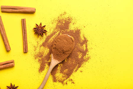Cinnamon sticks, spoon with powder and anise on color background