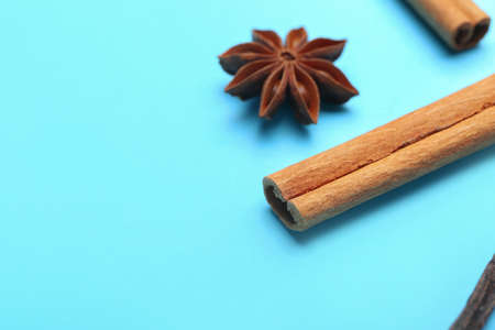Cinnamon sticks and anise on color background