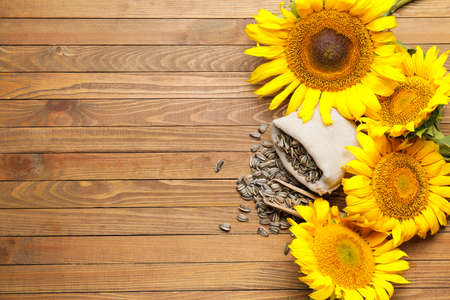 Beautiful sunflowers and seeds on wooden backgroundの写真素材