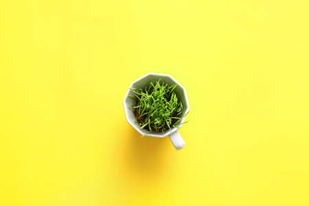 Fresh wheatgrass in cup on color backgroundの写真素材
