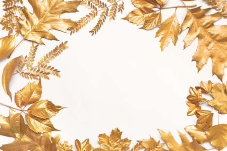 Frame made of golden leaves on white backgroundの写真素材