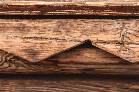 Natural wooden texture as background