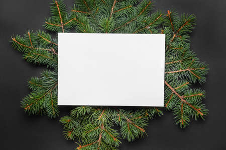 Beautiful fir tree branches with empty card on dark backgroundの写真素材