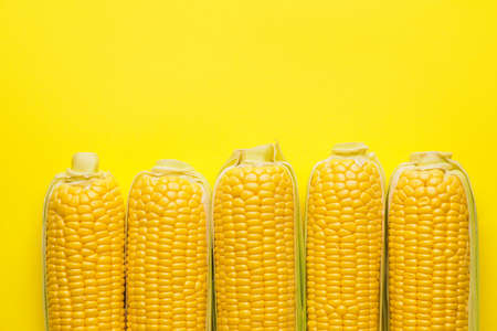 Fresh corn cobs on color backgroundの写真素材