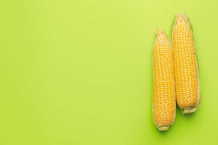Fresh corn cobs on color backgroundの写真素材