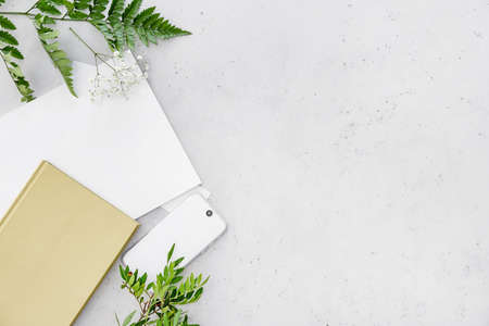 Blank magazine, book and mobile phone on light backgroundの写真素材