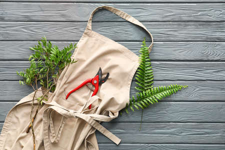 Apron, pruner and plants on wooden background