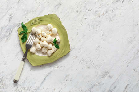 Plate with mozzarella cheese on grunge background