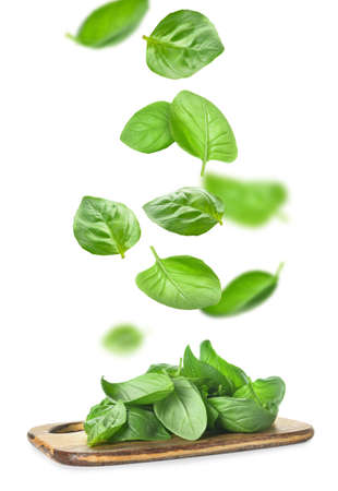 Board with flying basil leaves on white backgroundの写真素材