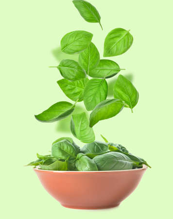 Bowl with flying basil leaves on color backgroundの写真素材