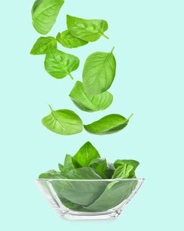 Bowl with flying basil leaves on color backgroundの写真素材