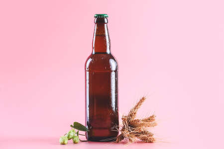 Bottle of fresh beer on color backgroundの写真素材