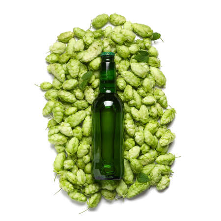 Bottle of beer and hops on white backgroundの写真素材