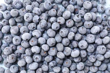 Tasty frozen blueberry as backgroundの写真素材