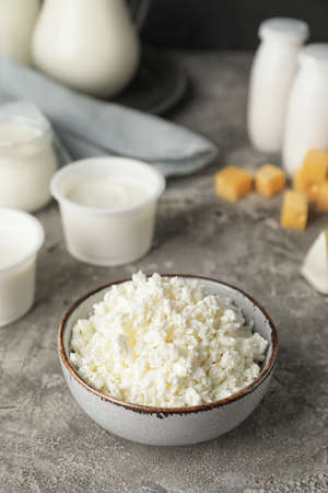 Bowl with cottage cheese and different dairy products on gray background