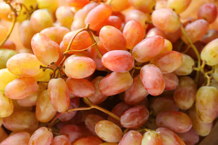 Sweet ripe grapes as backgroundの写真素材