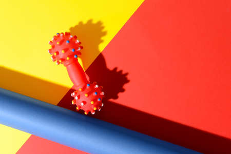 Creative composition with pet toy on color backgroundの写真素材