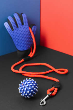 Creative composition with pet accessories on color background