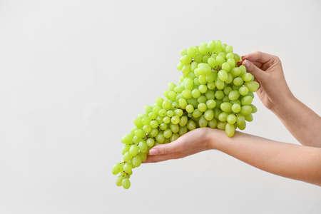 Female hands with ripe green grapes on light backgroundの写真素材